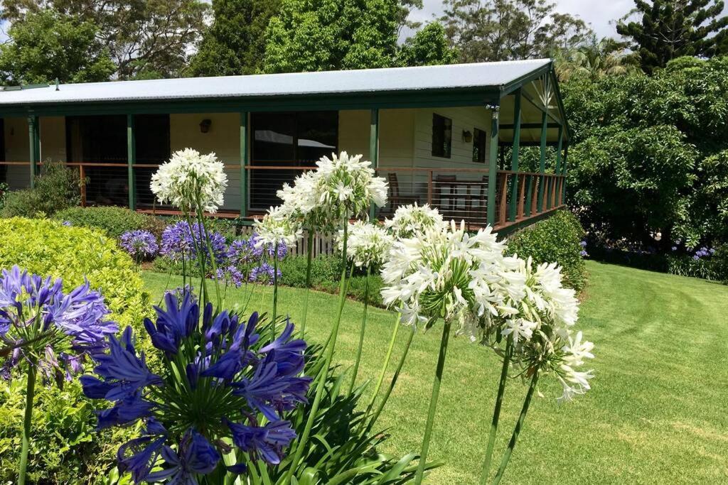 Bundara - Idyllic Getaway In The Mountains Apartment Mount Tamborine Exterior photo