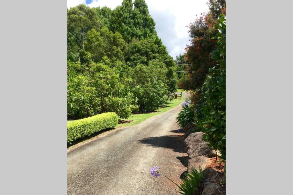 Bundara - Idyllic Getaway In The Mountains Apartment Mount Tamborine Exterior photo